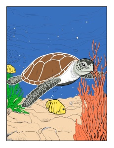 Underwater Wonders Coloring Pages PLR Bundle