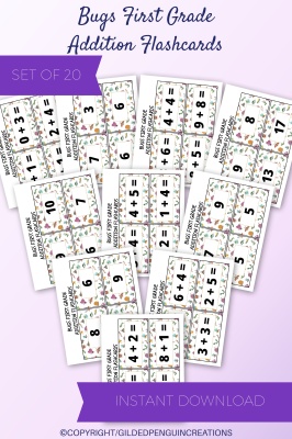 Bugs First Grade Addition Flashcard PLR